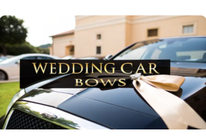 Wedding-Car-Bows