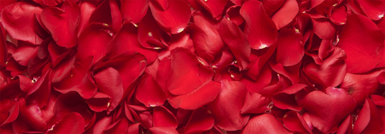 Fabric Rose Petals