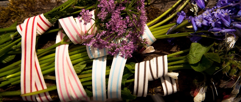 Striped Ribbons