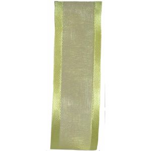 25mm green satin edged sheer ribbon